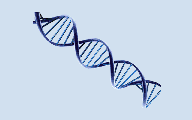 Molecular Diagnostics
