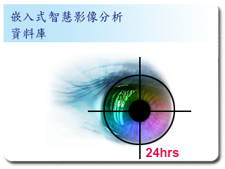 Intelligent Video Analytics